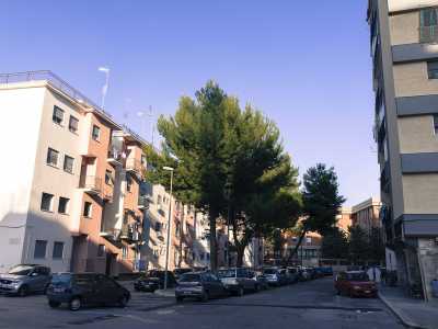 San Marcello � Tra la zona del Campus e quella di Telebari si trova un agglomerato fatto di basse case popolari presenti dalla fine degli anni 50. Circoscritta da via Orabona, via Fanelli, via Omodeo e via Amendola, l�area di San Marcello ospita negozi storici e un�antica masseria con ipogeo